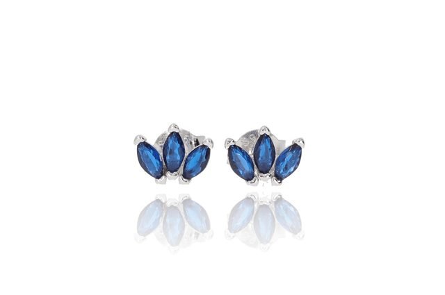 925 Sterling Silver Earrings – Model e3696