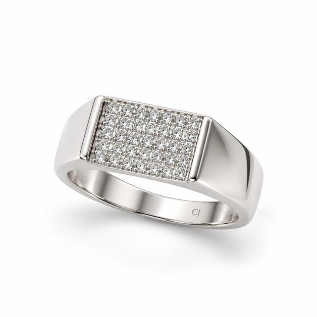 Men’s 925 Sterling Silver Ring – Model R3886